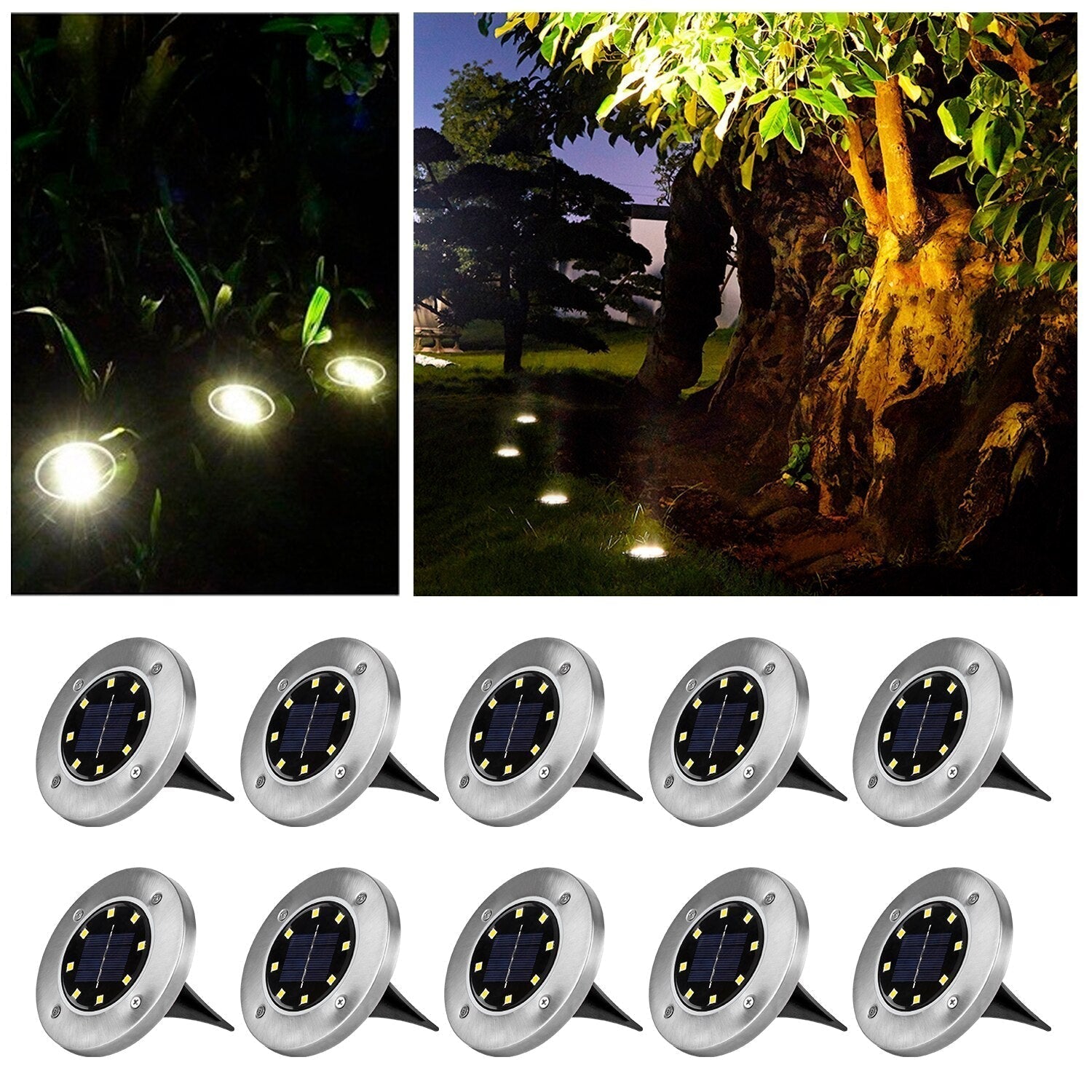 Zonne-LED Tuinverlichting voor Paden & Borders - LumiPath Glow