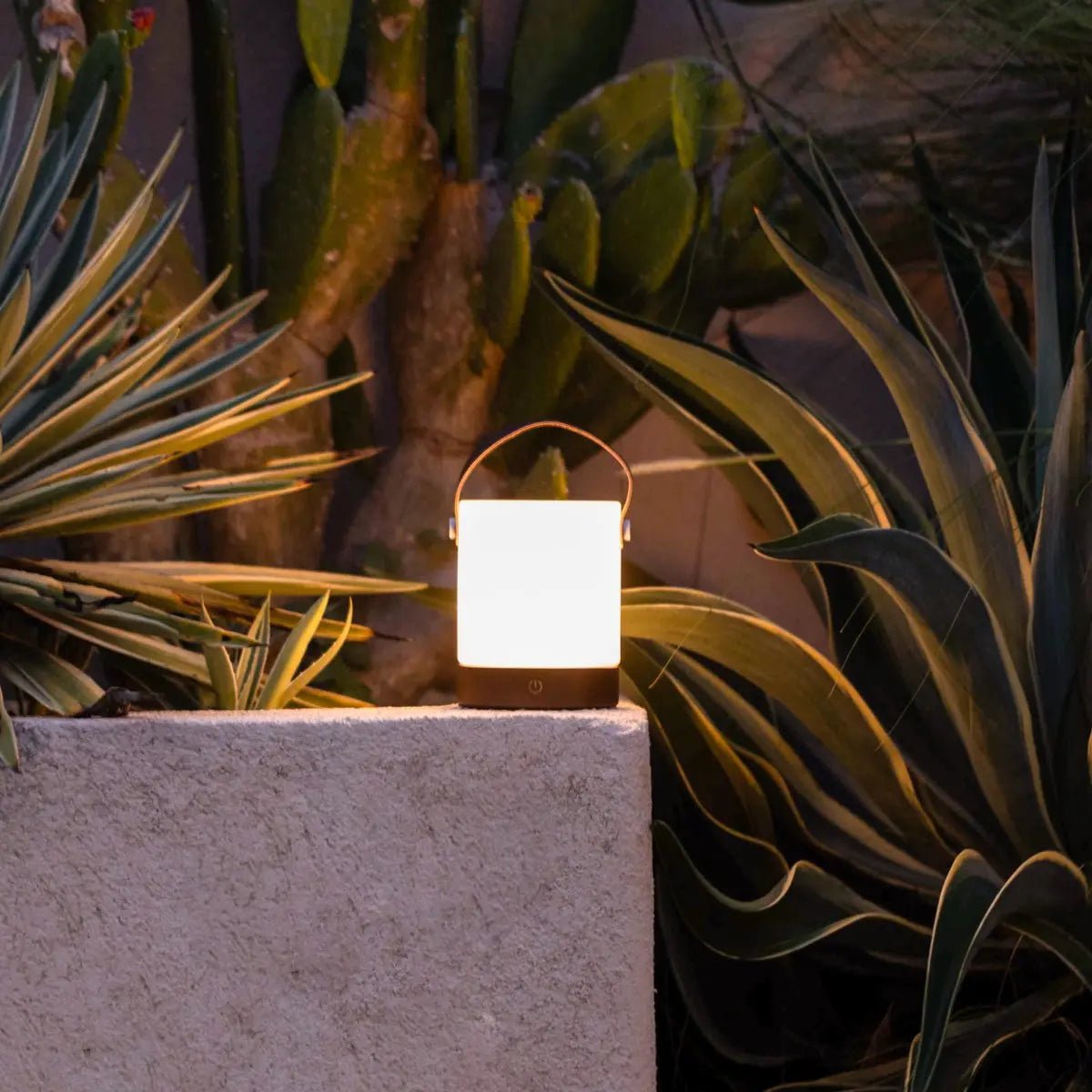 Draadloze & Dimbare Tafellamp (IP44) - LumaWood