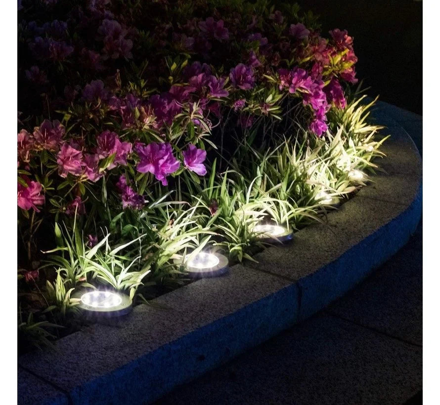 Zonne-LED Tuinverlichting voor Paden & Borders - LumiPath Glow